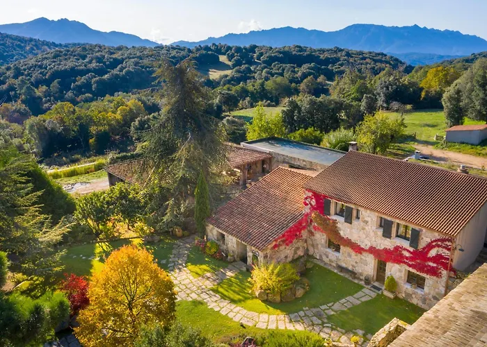 Maison d'hôtes A Pignata Levie