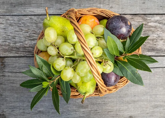 Maison d'hôtes A Pignata