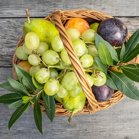 Πανσιόν A Pignata